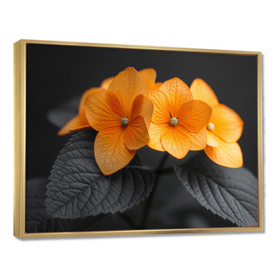 Orange orange, parfum d'hydrangées et d'hortensias muraux
