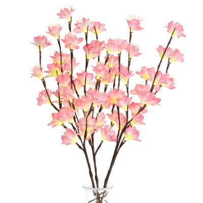 Fir Arrangement