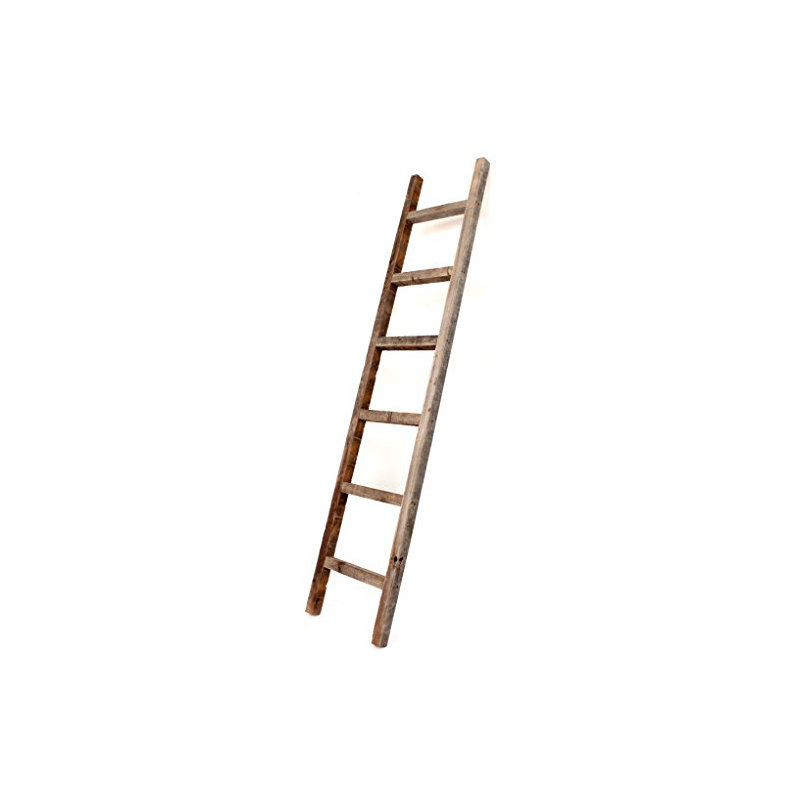 Échelle de couverture 6 pi Moua