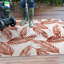 Tapis intérieur / extérieur Benavidez-1652006798