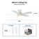 Gabrand 48'' Ceiling Fan with light