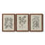 Antique Black and White Botanical VII - Ensemble de 3 reproductions d'art sur toile-282180063-282181156