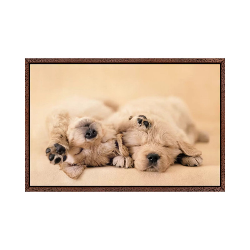 Jay And Connie by Rachael Hale - Print on Canvas, 101.6 cm H x 66.04 cm W, Classic Brown Wood Framed