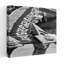 Print-407035498