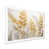 White Single Picture Framed