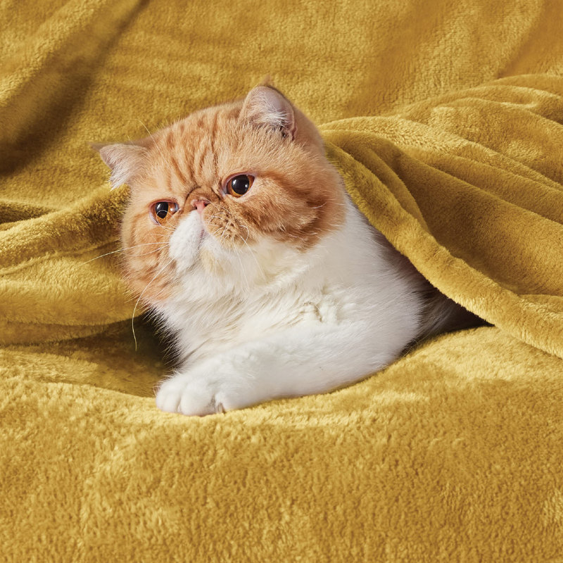 Bedsure 280GSM Soft Lightweight Plush Cozy Blankets For Bed, Sofa, Couch, Travel, Camping, Mustard Yellow, 66" W x 90" L
