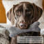 MODWOOL-106364331-106364332