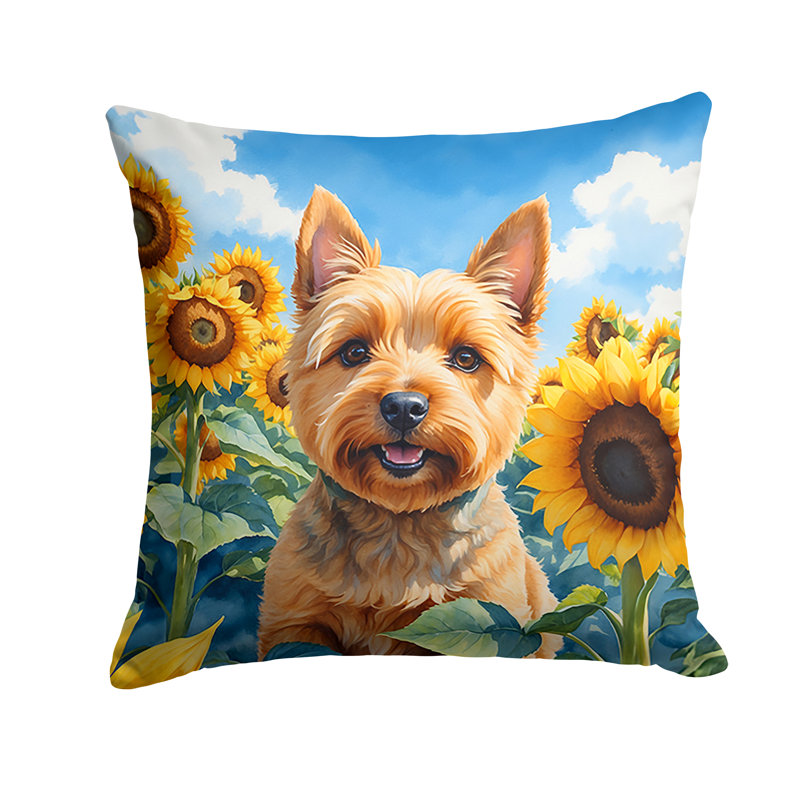 Coussin décoratif intérieur / extérieur Autre / Sans motif, H 18 po x l 18 po