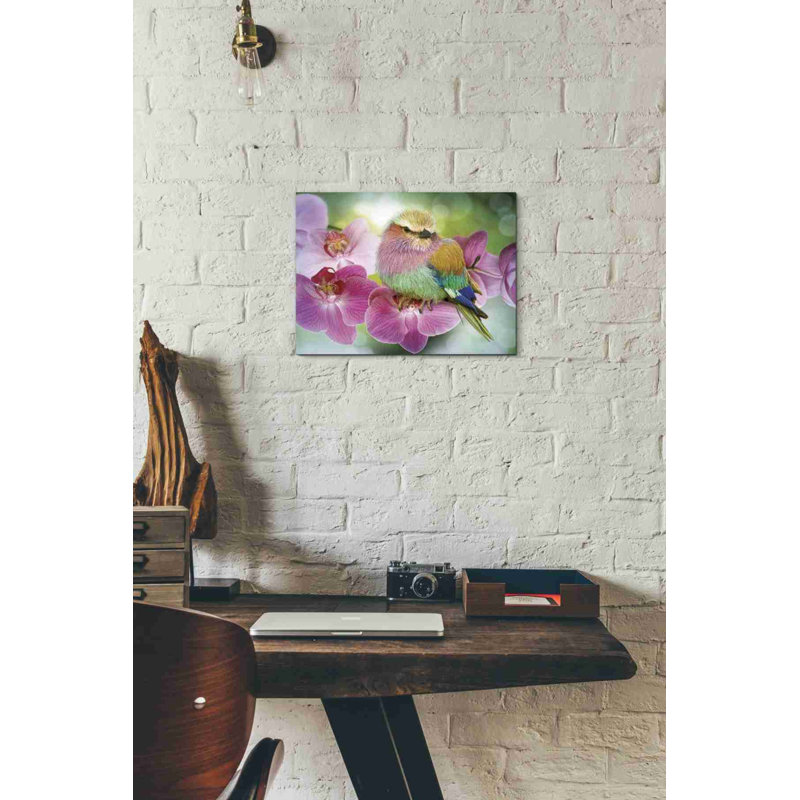 «Pretty Boy» par Steve Hunziker, art mural sur toile, H 12 po x l 16 po x P 0,75 po