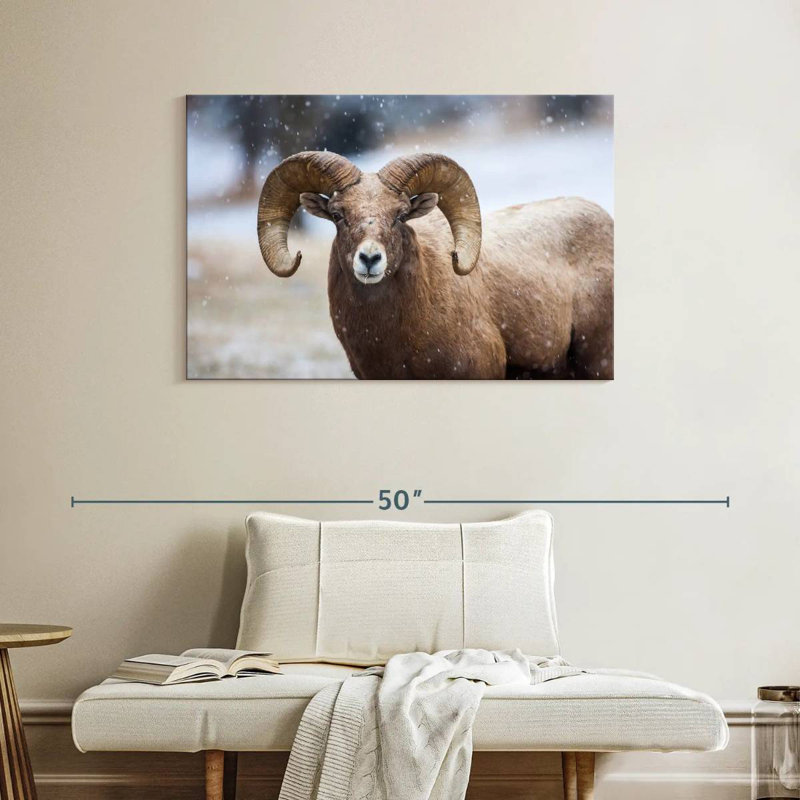 Brampt Bighorn Sheep, H 26 po x l 39 po