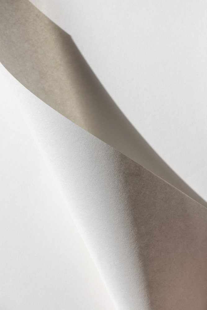 Ivy Bronx Paper Studies 15 | Wayfair.co.uk