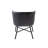 Daevin 17.34'' H Velvet Upholstered Armchair-992326550