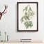 Autumnal Warbler by John Audubon - Single Picture Frame Painting-55456871-55456872