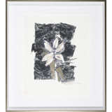 Silver Flower - Lily Print by Robert Robinson