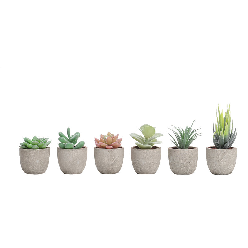 7.5 cm H Faux Chinese Money Plant