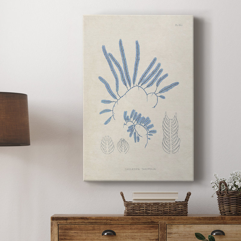 Blue Marine Algae II - galerie sur mesure Cavas, H 18 po x l 12 po