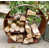 Rustic  is out of stock