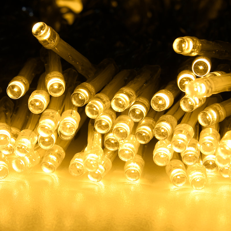 300cm 300 - Bulb Fairy String Light
