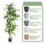 Pot à fleurs artificiel Dracaena-1775342231