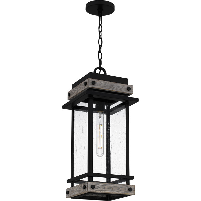 Lanterne suspendue d'extérieur 1 lumière Acoidan