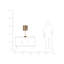 Momea Novelty Lamp
