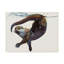 Tellico «Otter Study II Talisker», reproduction de peinture acrylique sur toile tendue-27653441
