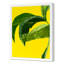 Untitled Print by Jones, Emma-116986435-116986436