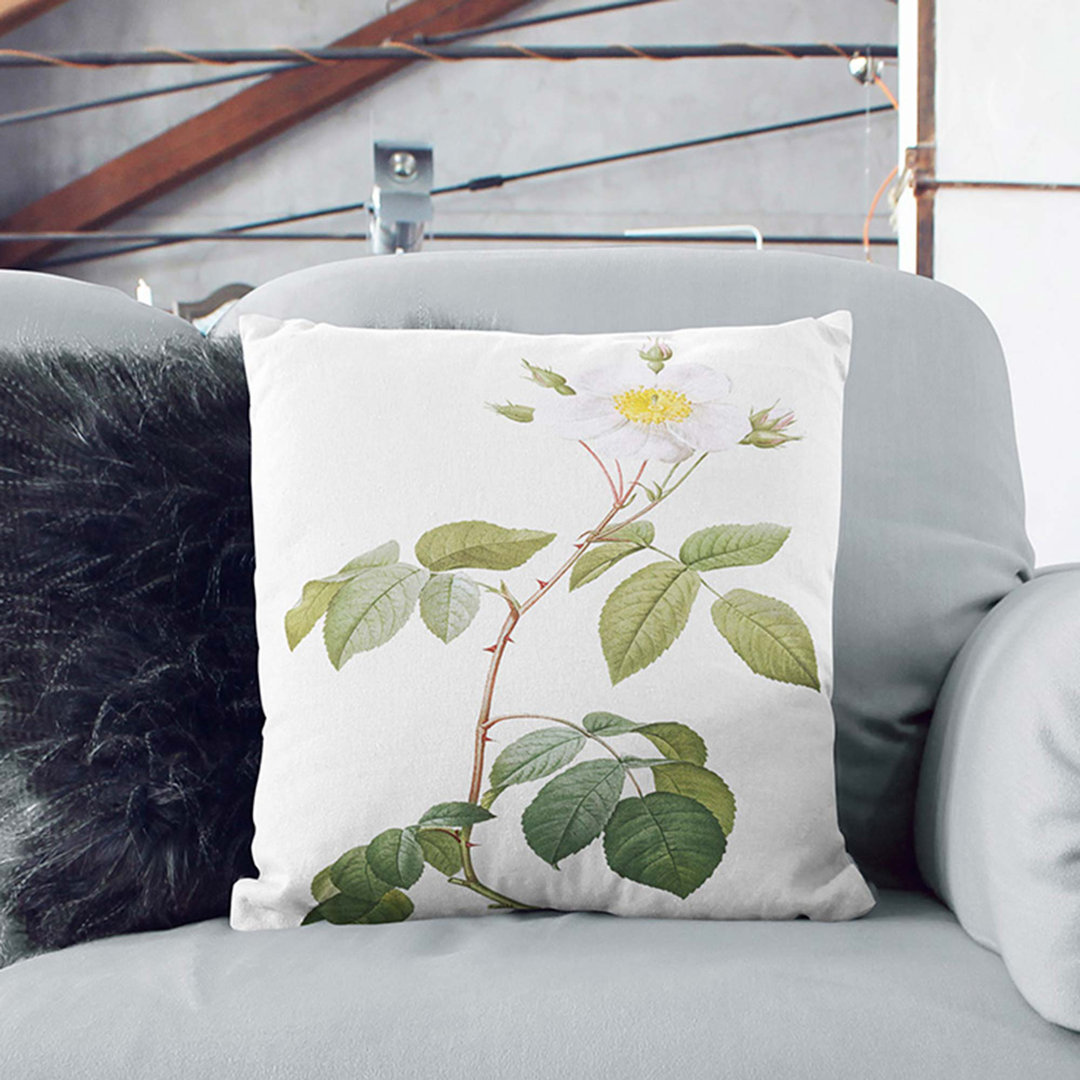 Climbing Rose by Pierre-Joseph Redoute Cushion with Filling