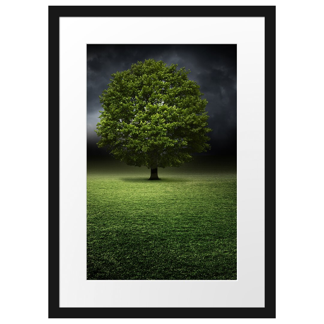 Gerahmtes Poster Einzelner Baum auf grüner Wiese