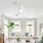 Ventilateur de plafond intérieur 42 pouces avec lumière, pales en ABS imperméables, moteur à courant continu réversible, contrôle à 6 vitesses, lumière DEL à température de couleur à intensité variable 3-710922632-710922634