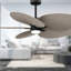 Alessandra - Ventilateur de plafond à cinq pales - DEL intégrée-103363417-103363420