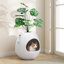 Litter Box