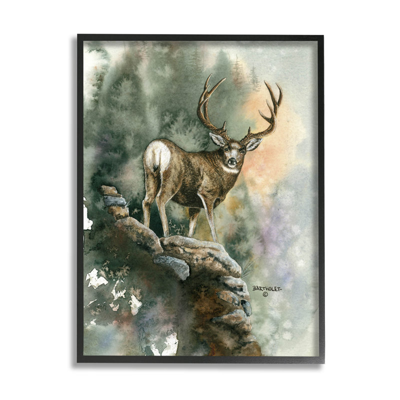 Cerf, forêt rocheuse, estampe numérique par Dave Bartholet, Giclée encadrée noir minuit, H 14 po x l 11 po x P 1,5 po