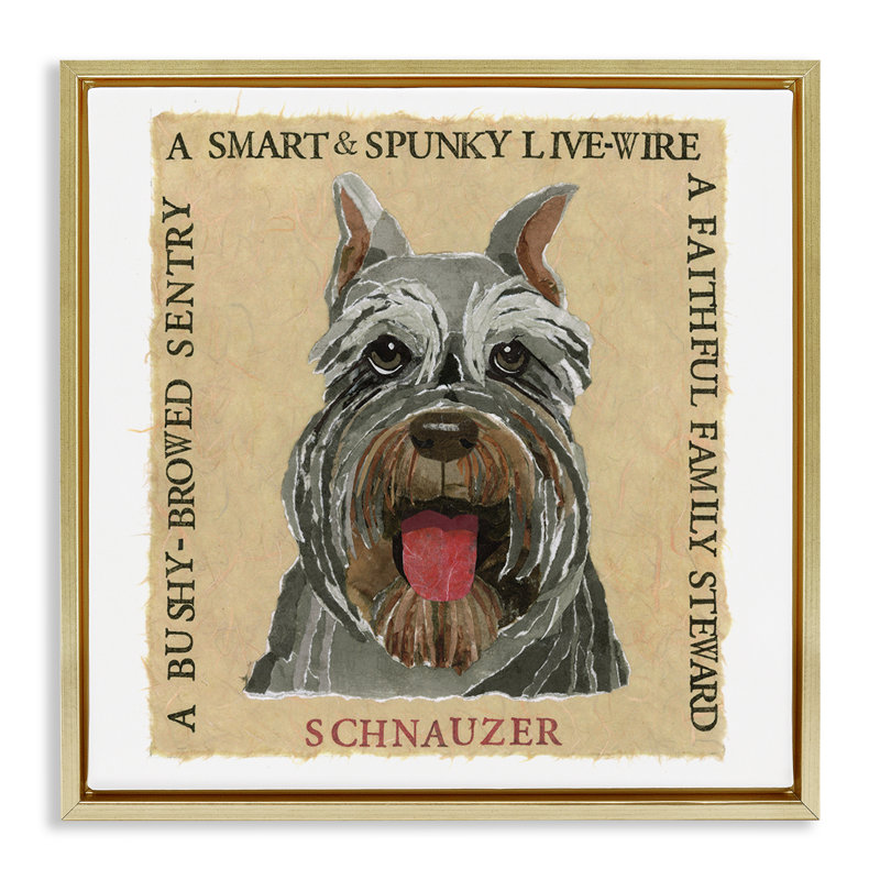 "Fun Schnauzer Pet", art mural encadré flottant par Nancy Overton, Cadre flottant métallique doré, H 25 po x l 25 po