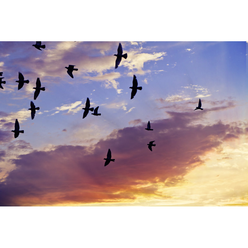 Pigeon Fly In Sunset by XH4D - Wrapped Canvas Print, 30cm H x 46cm W