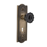 Meadows Plate with Decorative Keyhole and Crystal Black Door Knob
