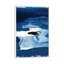 « blue amore ii » par sisa jasper-reproduction d’art-49905428-53128466