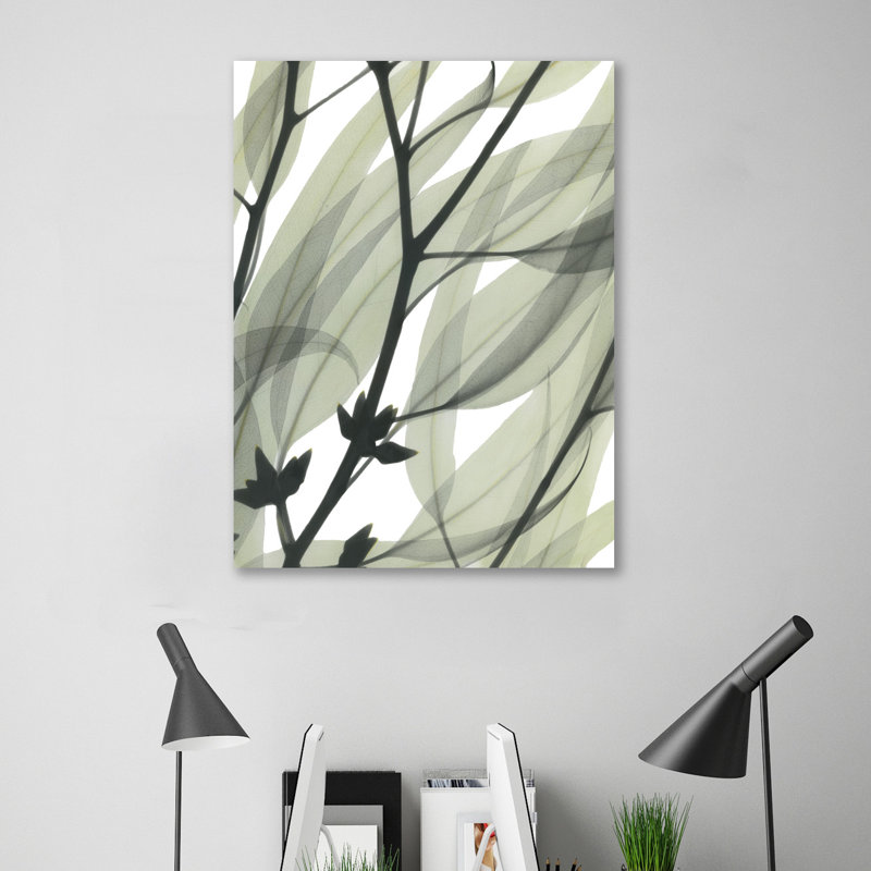 Eucalyptus Safari - Wrapped Canvas Print, 102 cm H x 76 cm W