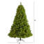 Lighted Artificial Pine Christmas Tree-553794179