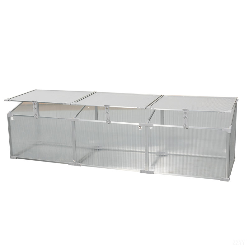 Mini serre, serre en polycarbonate pour l'extérieur