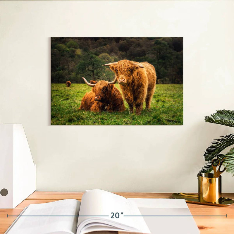 Brampt Highland Cow Friends, H 8 po x l 12 po