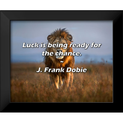 J. Frank Dobie Quote: Luck is being ready for the chance.