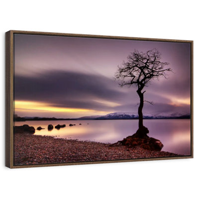 Arbre Loch Lomond