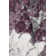 Boisy Abstract Area Rug