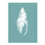 Pearl Shell I Print by Fern Cassidy-26727163-26727164