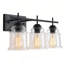 Modern 3-light Matte Black Vanity Light With Clear Glass Shades