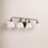 Ansara 4-Light Vanity Light