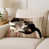Bobtail japonais