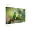 «Pair o parakeets» par Greg Barsh - reproduction de photo sur toile tendue-885652681
