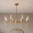 8-Light Chandelier in Warm Brass-128103457